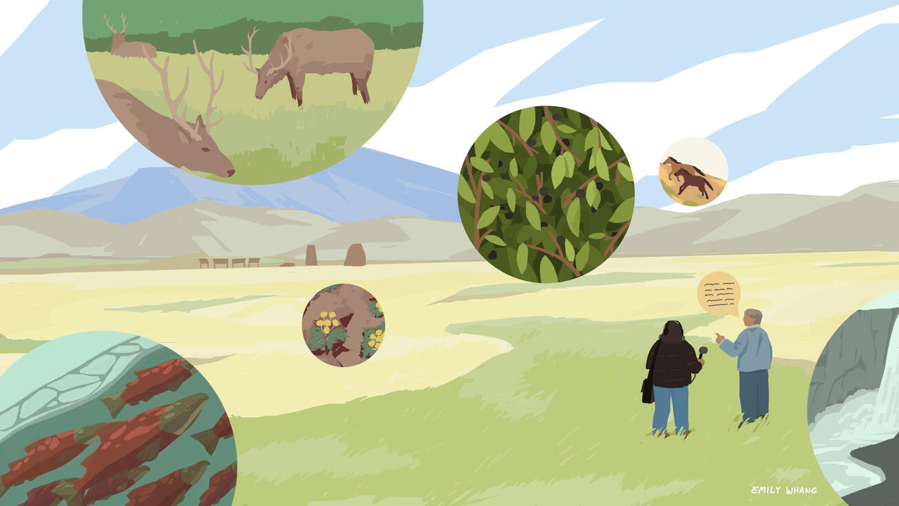 Listening the past: One woman’s journey to preserve tribal history - NPR Next Gen Radio