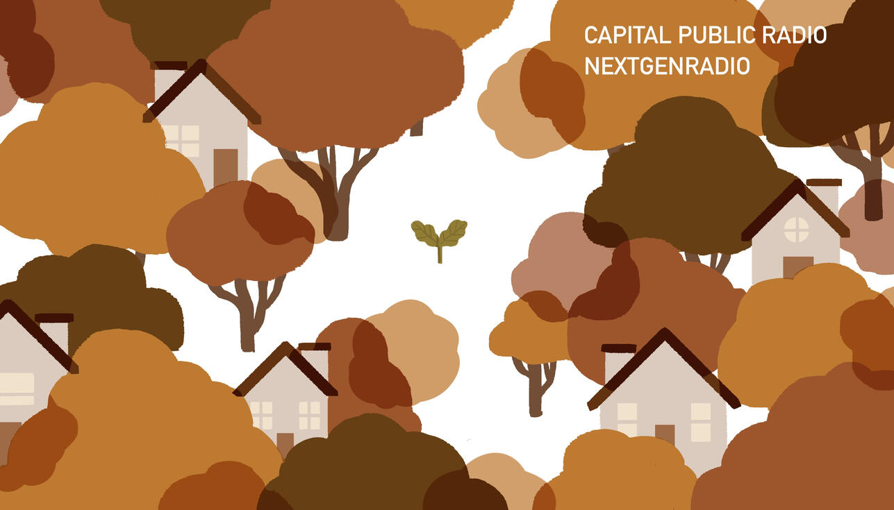 Capital Public Radio Banner - NPR Next Gen Radio